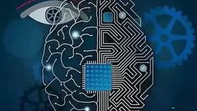 神经技术突破：思维控制轮椅助力瘫痪者行动自由