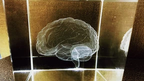 脑机接口商业化发展中的机遇与困境