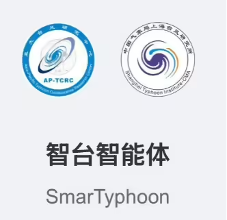 台风智能体