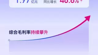 优刻得2025上半年营收利润双增长 AI全球化业务提速