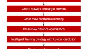 遥感场景分类新突破：自我监督学习技术引领创新