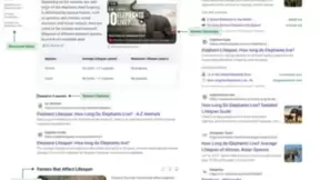 必应人工智能搜索新布局上线，传统搜索结果优化调整