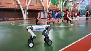 人形机器人成校园新宠，AI教育应用开启智慧校园新篇章