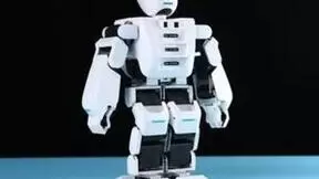 AI编程助手上岗编写20%代码 专家警示自我进化失控风险