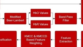基于EEG和fNIRS分类器特征加权优化方法提升脑活动识别准确率