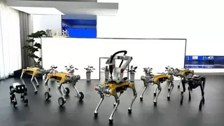 工业级四足机器人阿波罗发布 技术创新与高端制造深度融合