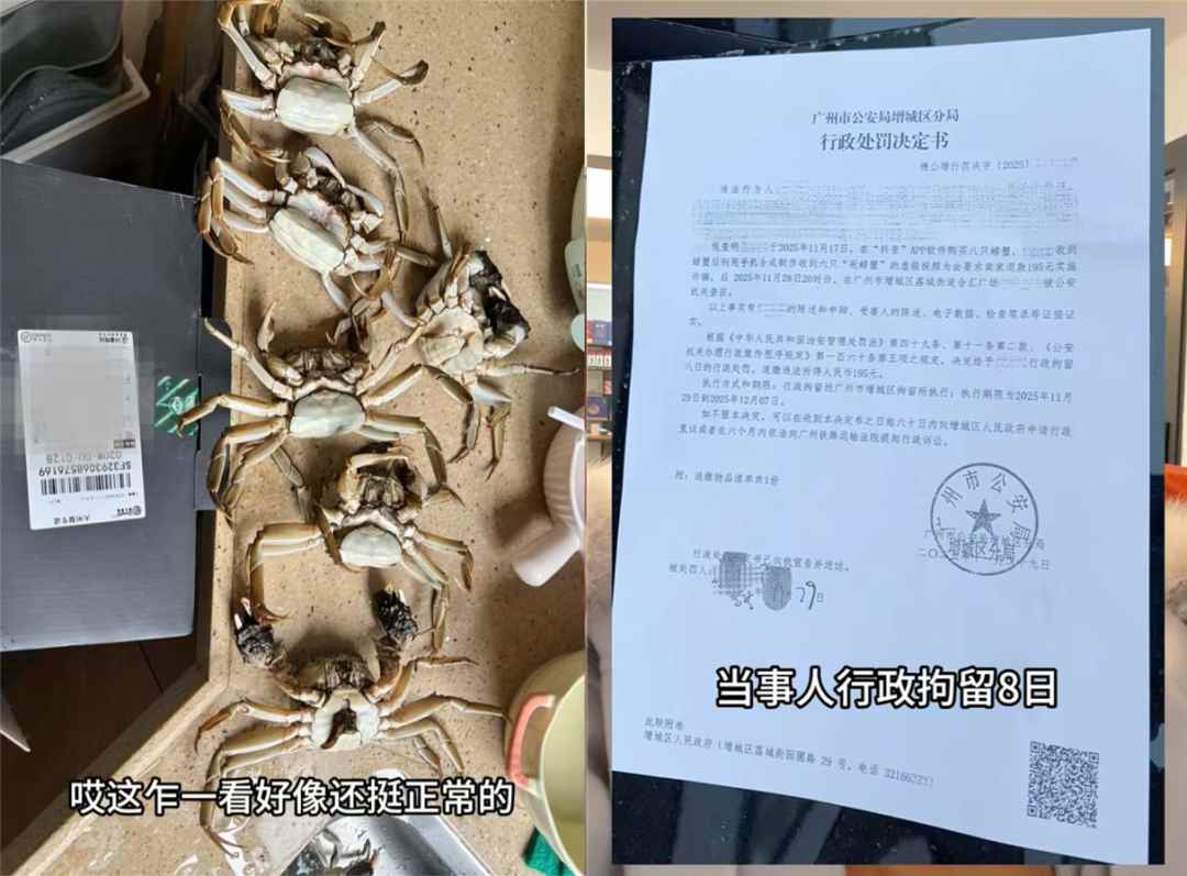 顾客 AI伪造螃蟹损坏骗退款被拘 8 日，商家呼吁加强监管