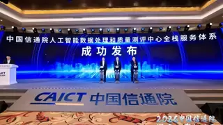 国内首个AI数据处理质量测评中心启动 提供全栈服务体系