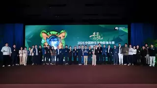 骁龙技术赋能野生生物影像创作，移动设备展现自然之美