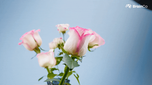 文章详情图片