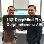 海豚语言研究新突破：AI模型高效模拟声音序列