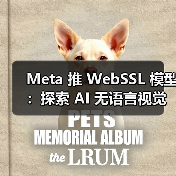 WebSSL模型解析：纯图像数据无语言监督视觉SSL