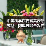 中国科学院青藏高原研究所、阿里云联合发布水能粮多模态推理大模型“洛书”(图3) 中国科学院青藏高原研究所、阿里云联合发布水能粮多模态推理大模型“洛书”(图3)