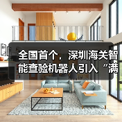全国首个，深圳海关智能查验机器人引入“满血版”DeepSeek-R1