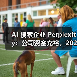 AI 搜索企业 Perplexity:公司资金充裕,2028 年前无 IPO 规划(图4) AI 搜索企业 Perplexity:公司资金充裕,2028 年前无 IPO 规划(图4)