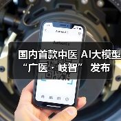国内首款中医 AI大模型 “广医・岐智” 发布（图4）