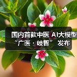 国内首款中医 AI大模型 “广医・岐智” 发布（图3）