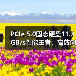PCIe 5.0固态硬盘11.3GB/s性能王者，高效创意随行（图1）