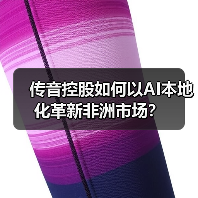 传音控股如何以AI本地化革新非洲市场？（图3）