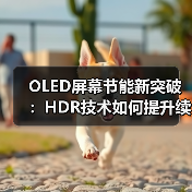 OLED屏幕节能新突破:HDR技术如何提升续航?(图3) OLED屏幕节能新突破:HDR技术如何提升续航?(图3)