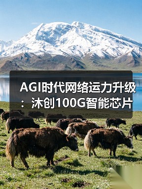 AGI时代网络运力升级:沐创100G智能芯片N20引领新变革(图2) AGI时代网络运力升级:沐创100G智能芯片N20引领新变革(图2)