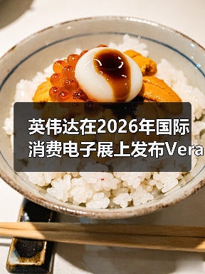 英伟达在2026年国际消费电子展上发布Vera Rubin人工智能计算平台(图3) 英伟达在2026年国际消费电子展上发布Vera Rubin人工智能计算平台(图3)