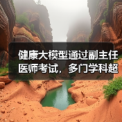 健康大模型通过副主任医师考试,多门学科超合格线(图2) 健康大模型通过副主任医师考试,多门学科超合格线(图2)