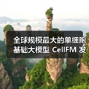 全球规模最大的单细胞基础大模型 CellFM 发布:基于国产超算,中山大学、华为等研发(图4) 全球规模最大的单细胞基础大模型 CellFM 发布:基于国产超算,中山大学、华为等研发(图4)
