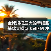 全球规模最大的单细胞基础大模型 CellFM 发布:基于国产超算,中山大学、华为等研发(图3) 全球规模最大的单细胞基础大模型 CellFM 发布:基于国产超算,中山大学、华为等研发(图3)