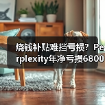 烧钱补贴难挡亏损？Perplexity年净亏损6800万美元背后的策略（图3）