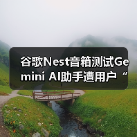 谷歌Nest音箱测试Gemini AI助手遭用户“变砖”?(图4) 谷歌Nest音箱测试Gemini AI助手遭用户“变砖”?(图4)