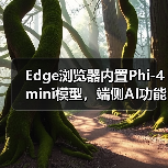 Edge浏览器内置Phi-4 mini模型,端侧AI功能如何落地?(图3) Edge浏览器内置Phi-4 mini模型,端侧AI功能如何落地?(图3)