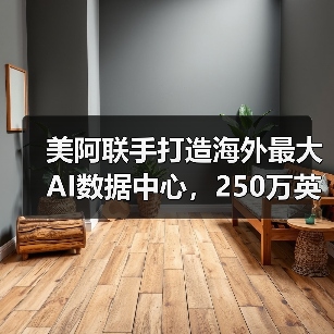 美阿联手打造海外最大AI数据中心,250万英伟达芯片支撑未来(图3) 美阿联手打造海外最大AI数据中心,250万英伟达芯片支撑未来(图3)