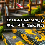 ChatGPT Record功能曝光:AI如何自动转录会议并生成摘要?(图3) ChatGPT Record功能曝光:AI如何自动转录会议并生成摘要?(图3)