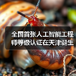 全国首张人工智能工程师等级认证在天津诞生!(图2) 全国首张人工智能工程师等级认证在天津诞生!(图2)