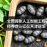 全国首张人工智能工程师等级认证在天津诞生!(图1) 全国首张人工智能工程师等级认证在天津诞生!(图1)