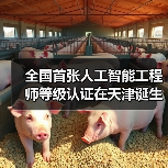 全国首张人工智能工程师等级认证在天津诞生!(图4) 全国首张人工智能工程师等级认证在天津诞生!(图4)
