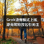 Grok语音模式上线，马斯克昵称改名引关注