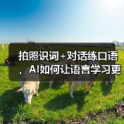 拍照识词+对话练口语,AI如何让语言学习更生活化?(图3) 拍照识词+对话练口语,AI如何让语言学习更生活化?(图3)