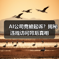 AI公司竟被起诉？揭秘违规访问背后真相