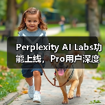 Perplexity AI Labs功能上线，Pro用户深度搜索与代码图像生成全攻略（图2）