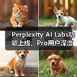 Perplexity AI Labs功能上线，Pro用户深度搜索与代码图像生成全攻略（图4）