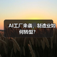 AI技术应用仍处早期阶段，黄仁勋揭秘行业变革蓝图