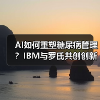 AI如何重塑糖尿病管理?IBM与罗氏共创创新血糖预测方案(图4) AI如何重塑糖尿病管理?IBM与罗氏共创创新血糖预测方案(图4)