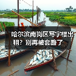 哈尔滨南岗区写字楼出租？别再被套路了（图3）