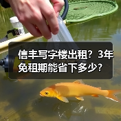 信丰写字楼出租？3年免租期能省下多少？（图2）