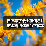 日照写字楼出租信息?这些真相你真的了解吗?(图3) 日照写字楼出租信息?这些真相你真的了解吗?(图3)