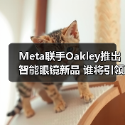 Meta联手Oakley推出智能眼镜新品 谁将引领市场新战场？