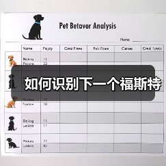 如何识别下一个福斯特（图1）
