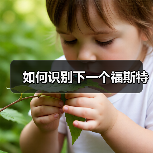 如何识别下一个福斯特